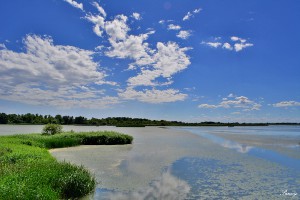 tisza-to---vv.jpg