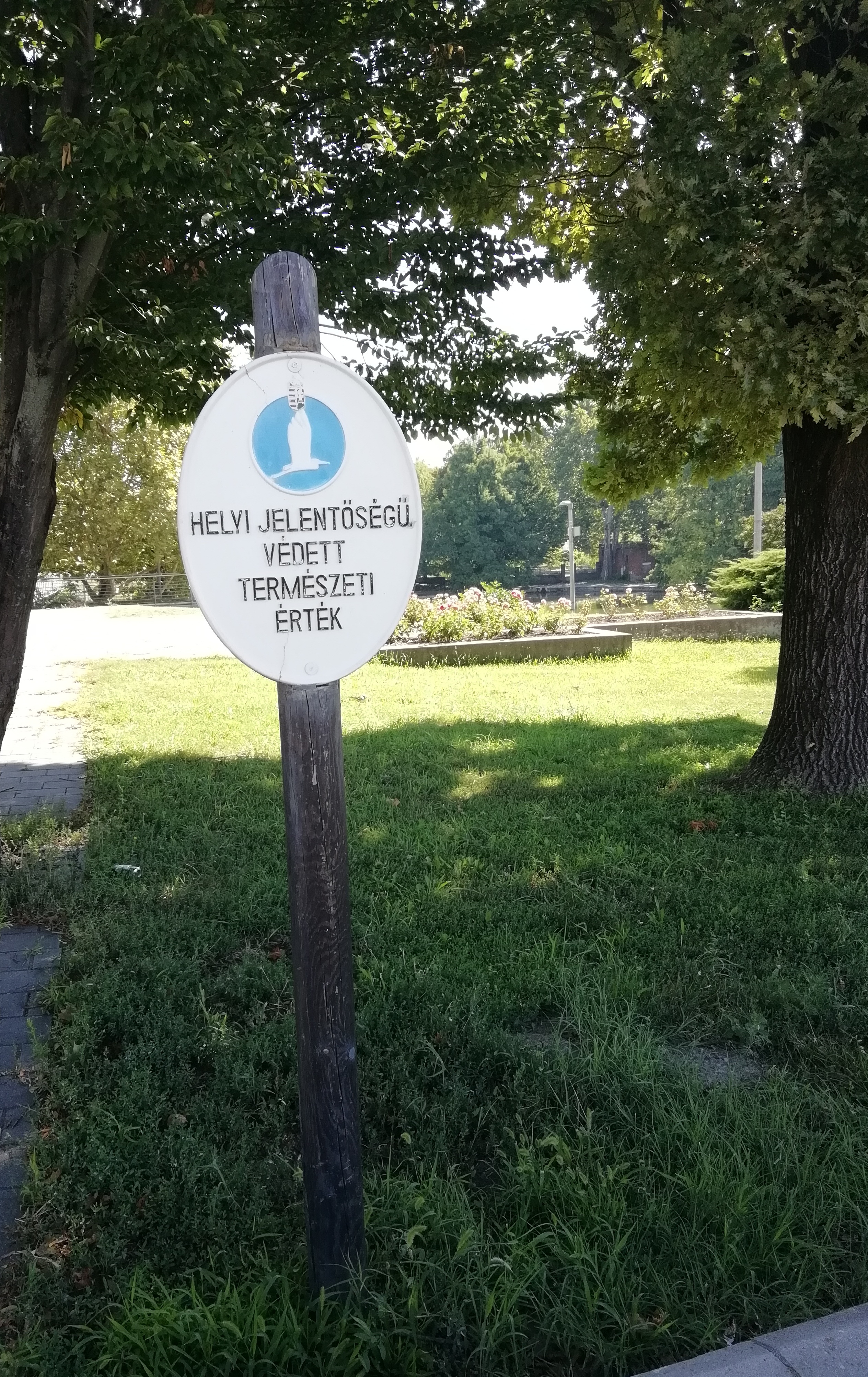 Helyi jelentőségű védett természeti érték a hazai jogban nincs, - Pécsett van