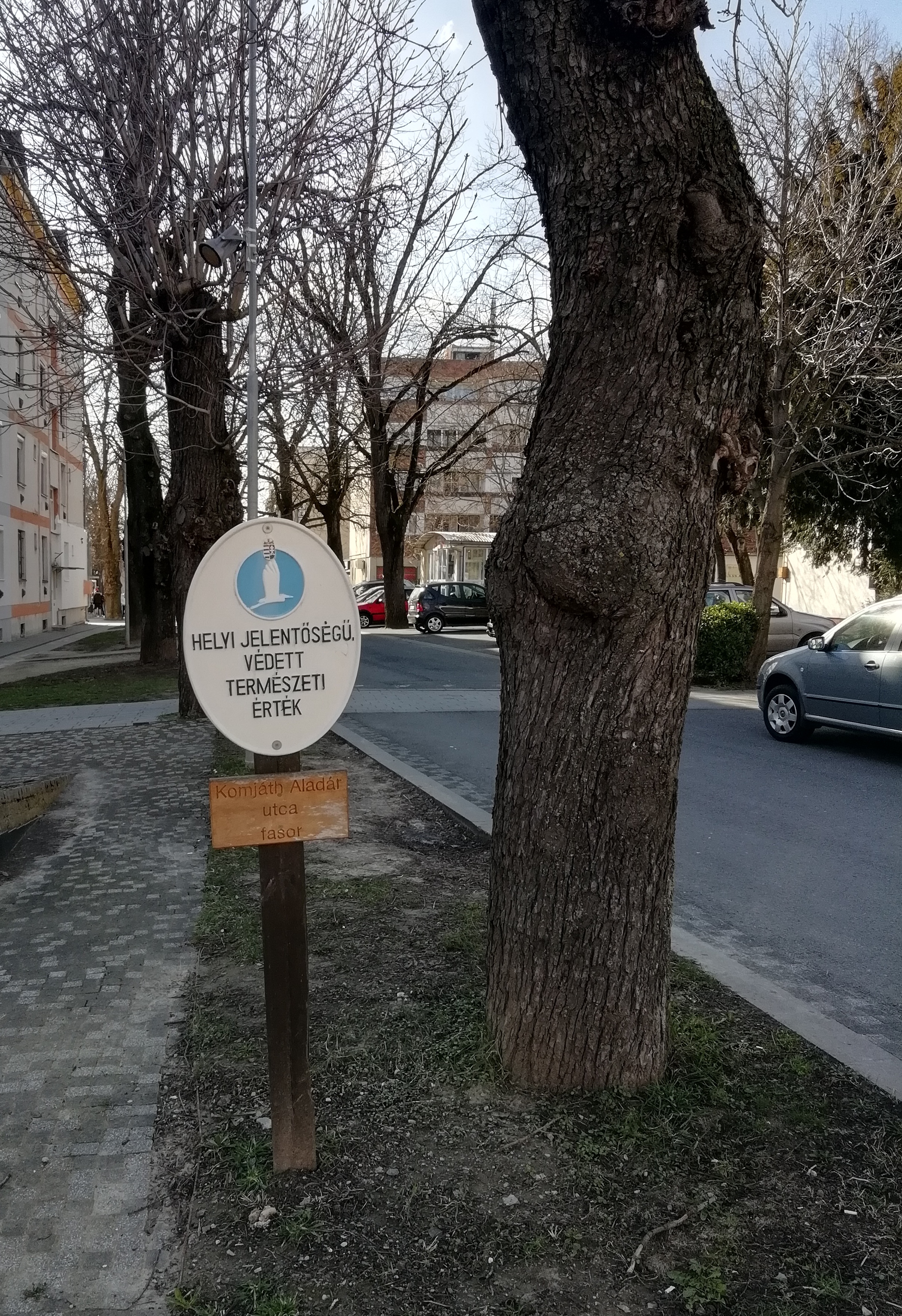 Helyi jelentőségű védett természeti érték a hazai jogban nincs, - Pécsett van. 